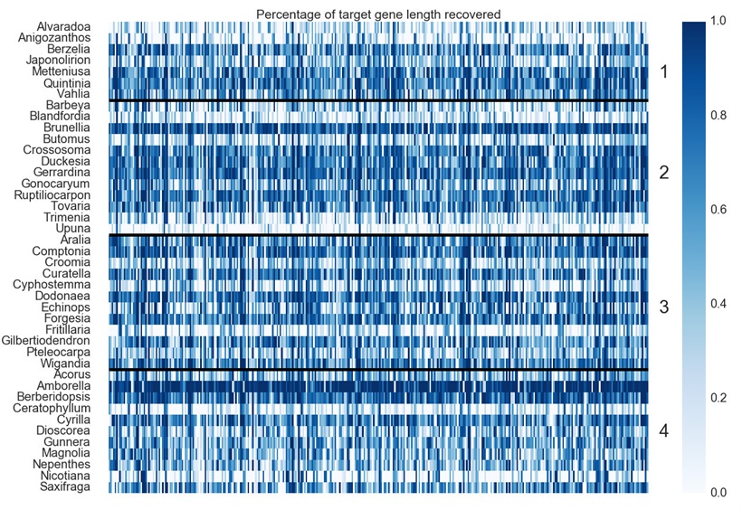 基因覆盖率-小.jpg
