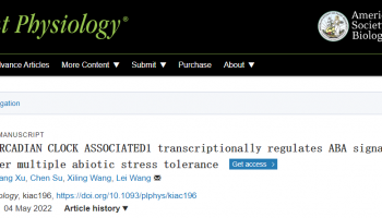 客户文章 | Plant Physiology：DAP-seq技术应用于OsCCA1通过ABA信号调控水稻适应非生物胁迫机制研究