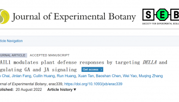客户文章 | DAP-seq技术在ScAIL1靶向调控DELLA参与GA和JA信号通路的应用