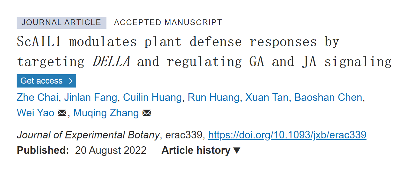 173732384056.png 图片1.png