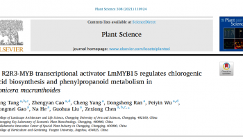 客户文章 | DAP-seq技术在R2R3-MYB转录因子LmMYB15调控金银花绿原酸生物合成和苯丙素代谢的分子机制研究中的应用