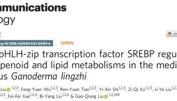 客户文章 | DAP-seq技术在bHLH-zip转录因子SREBP调控灵芝中三萜类化合物和脂质代谢研究中的应用