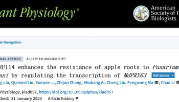 客户文章 | DAP-seq技术在ERF114调控苹果根系抵御腐皮镰刀菌侵染的分子机制研究中的应用