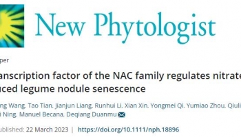 客户文章 | 应用DAP-seq技术鉴定百脉根中一个NAC转录因子在全基因上的靶基因，揭示硝酸盐诱导根瘤衰老的新机制