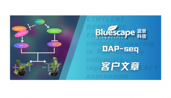 客户文章 | 应用DAP-seq技术鉴定BcERF070下游靶基因，揭示乙烯调控小白菜开花的分子机制