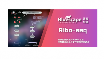 Ribo-seq：检测正在翻译的mRNA信息，连接转录组学与蛋白质组学的桥梁