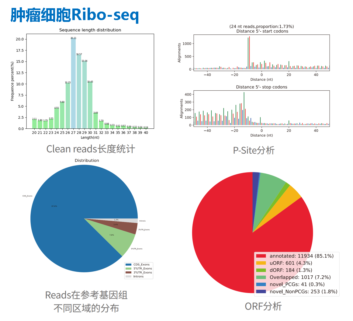 结果-肿瘤细胞.png