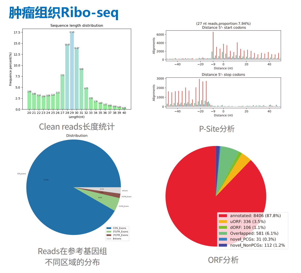 结果-肿瘤组织.png