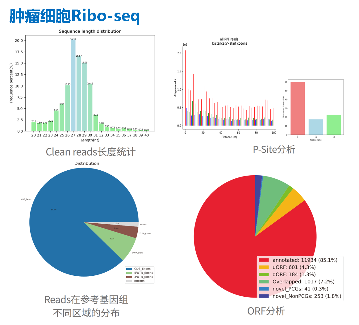 肿瘤细胞.png