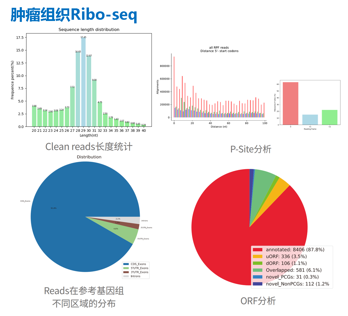 肿瘤组织.png