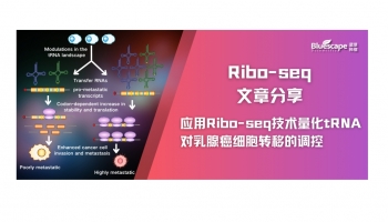 文章分享 | 应用Ribo-seq技术量化tRNA对乳腺癌细胞转移的调控