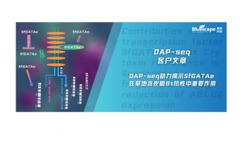 客户文章 | DAP-seq助力揭示转录因子在草地贪夜蛾Bt抗性中重要作用