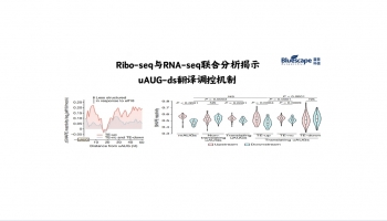 文章分享 | Ribo-seq与RNA-seq联合分析揭示uAUG-ds翻译调控机制