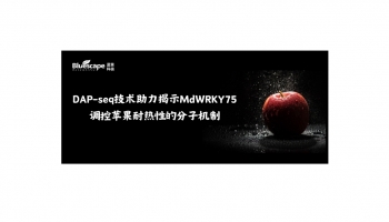 客户文章 | DAP-seq技术助力揭示MdWRKY75调控苹果耐热性的分子机制