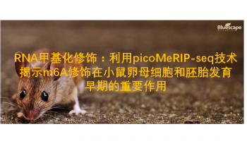 RNA甲基化修饰：利用picoMeRIP-seq技术揭示m6A修饰在小鼠卵母细胞和胚胎发育早期的重要作用