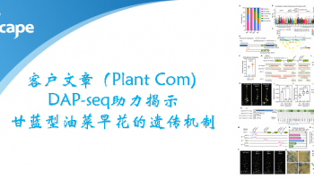 客户文章（Plant Com) ▏DAP-seq助力揭示甘蓝型油菜早花的遗传机制