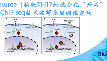 文章分享《Nature Communications》|ATAC-seq开启新视角：探索Shox2基因沙漠的神秘功能