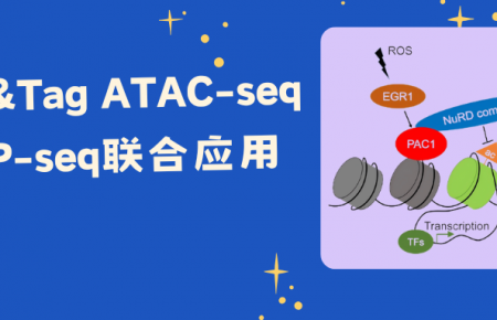 三大技术如何联手揭开PAC1肿瘤免疫的神秘面纱？
