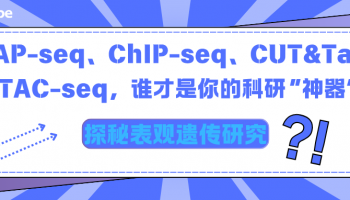 探秘表观遗传研究：DAP-seq、ChIP-seq、CUT&Tag、ATAC-seq，谁才是你的科研“神器”？