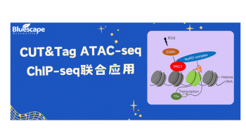 三大技术如何联手揭开PAC1肿瘤免疫的神秘面纱？