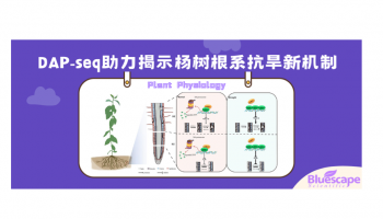 Plant Physiol | DAP-seq助力揭示杨树根系抗旱新机制