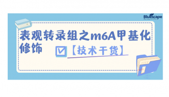 【技术干货】表观转录组之m6A甲基化修饰（一）