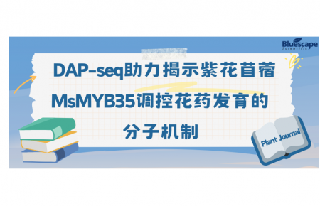 Plant Journal | DAP-seq助力揭示紫花苜蓿MsMYB35调控花药发育的分子机制