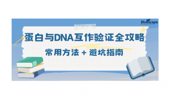 【科研干货】蛋白与DNA互作验证全攻略：常用方法 + 避坑指南