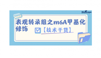 【技术干货】表观转录组之m6A甲基化修饰（一）
