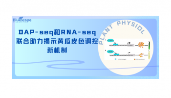 Plant Physiol | DAP-seq和RNA-seq联合助力揭示黄瓜皮色调控新机制