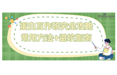 蛋白互作研究全攻略：常用方法+避坑指南