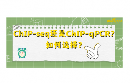 ChIP-seq还是ChIP-qPCR？如何选择？