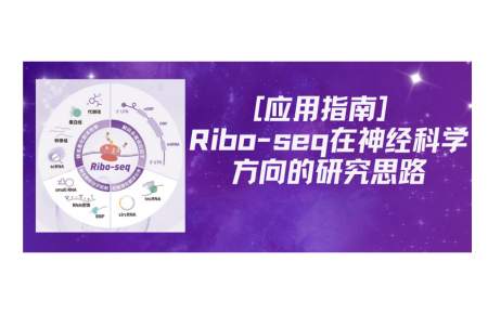 [应用指南] Ribo-seq在神经科学方向的研究思路