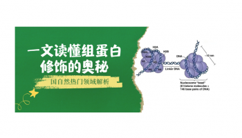 国自然热门领域解析：一文读懂组蛋白修饰的奥秘