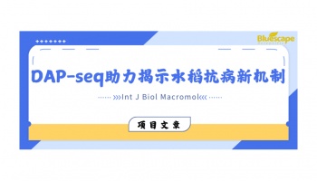 Int J Biol Macromol | DAP-seq助力揭示水稻抗病新机制