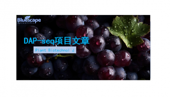 Plant Biotechnol J（IF=10.5）|DAP-seq助力揭示葡萄白粉病抗性机制