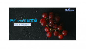 Plant Biotechnol J（IF=10.5）|DAP-seq助力揭示葡萄白粉病抗性机制