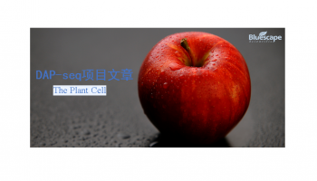 客户文章 | DAP-seq技术助力揭示MdWRKY75调控苹果耐热性的分子机制