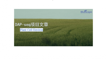 Plant Cell Environ |DAP-seq助力揭示多年生黑麦草转录因子LpNAC22增强耐旱性的分子机制