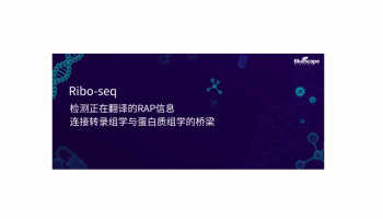 Ribo-seq—检测正在翻译的RNA信息 连接转录组学与蛋白质组学的桥梁