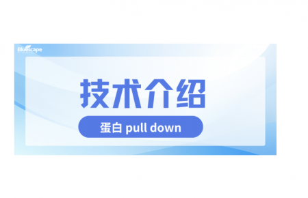 【收藏】蛋白 Pull Down：蛋白互作研究利器