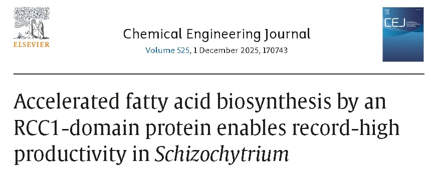 132935932347.png 1.png