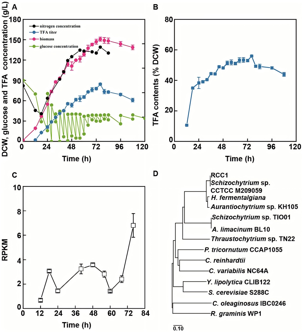 133042567770.png 图1.png