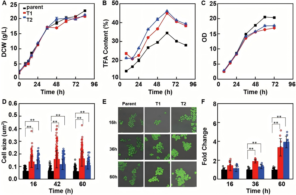 133142551332.png WPS图2.png