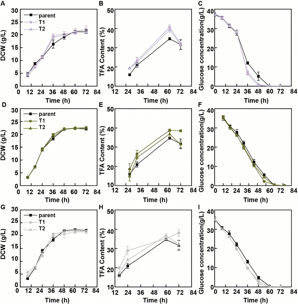 133356832547.png WPS图4.png