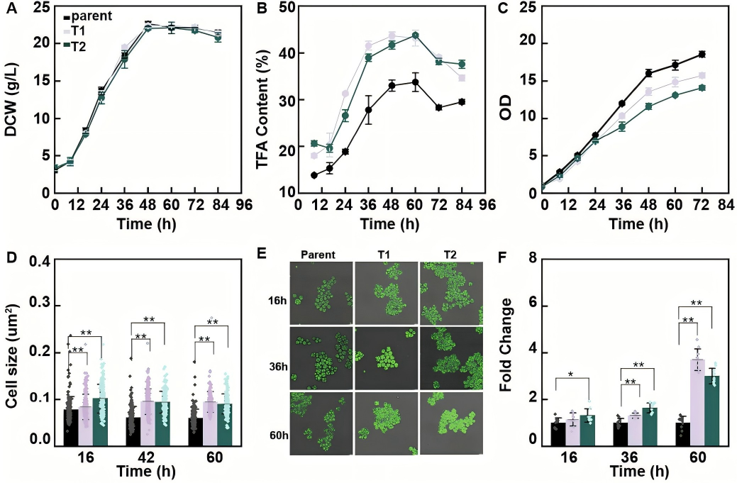 133419963803.png WPS图5.png