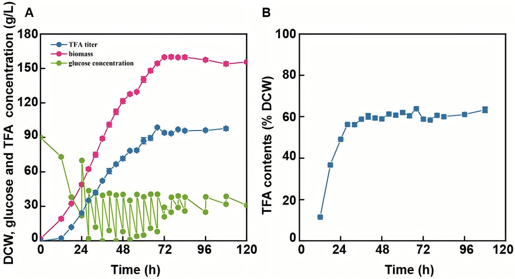 133458156315.png WPS图6.png