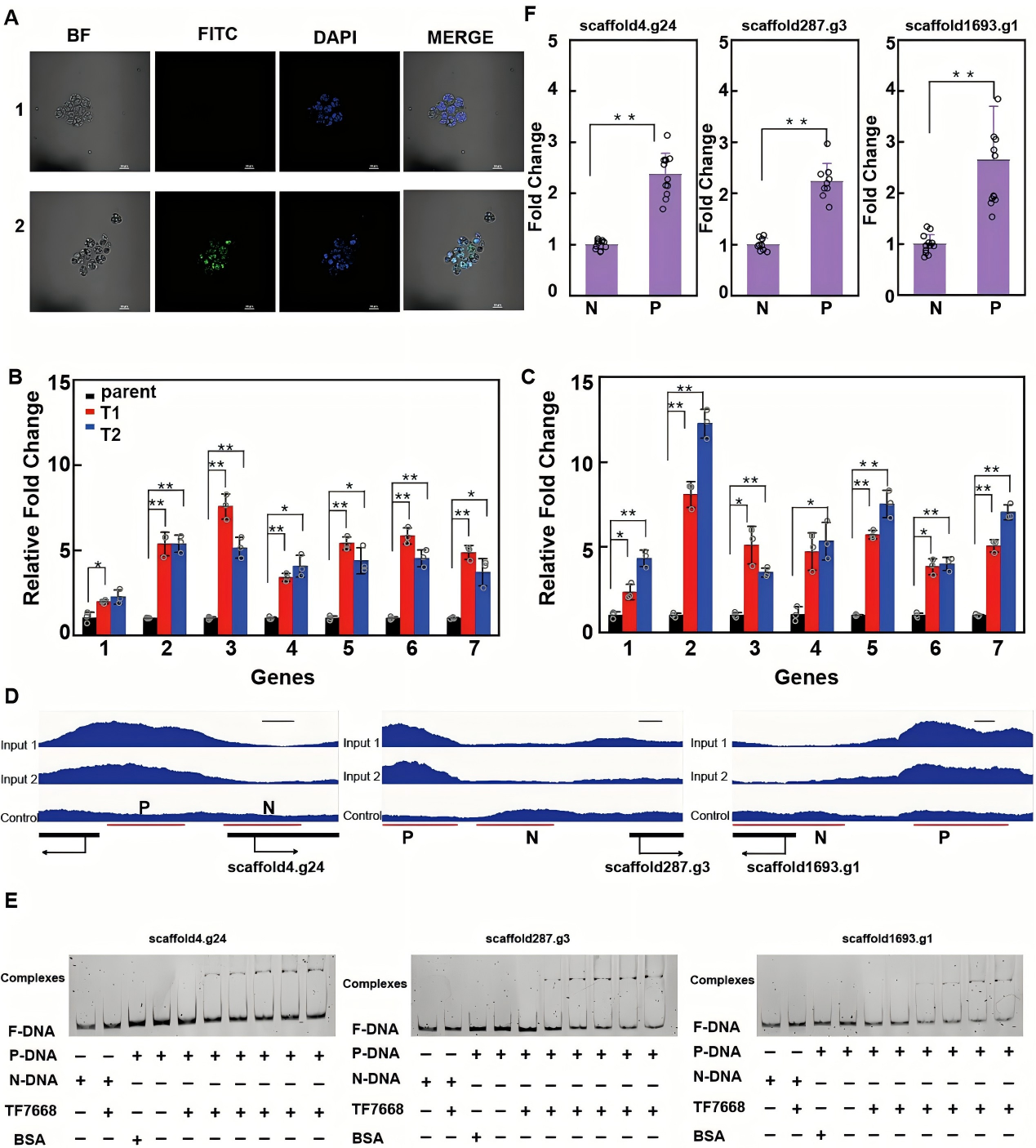 133855761241.png WPS图3.png