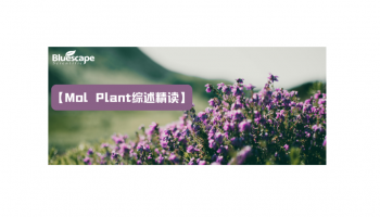 【Mol Plant综述精读】植物中的染色质重塑：复合物组成、机制多样性及生物学功能