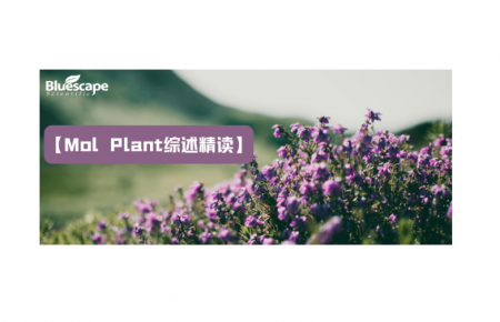 【Mol Plant综述精读】植物中的染色质重塑：复合物组成、机制多样性及生物学功能